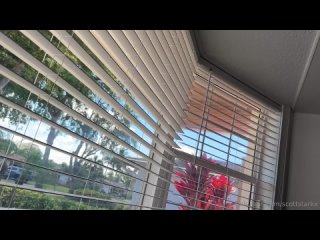 unknown - latina step sister is a horny girl (03 10 2025) 1080p